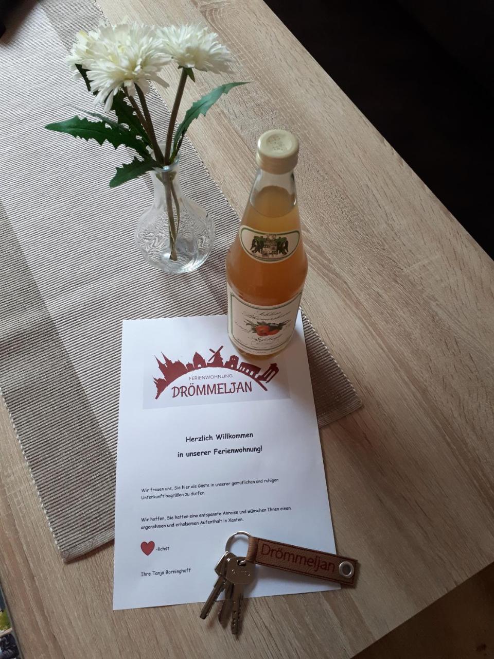Ferienwohnung Droemmeljan Xanten Kültér fotó